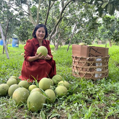 Farm Cara