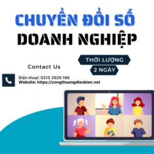 SN2-4: Chuyển đổi số Doanh nghiệp