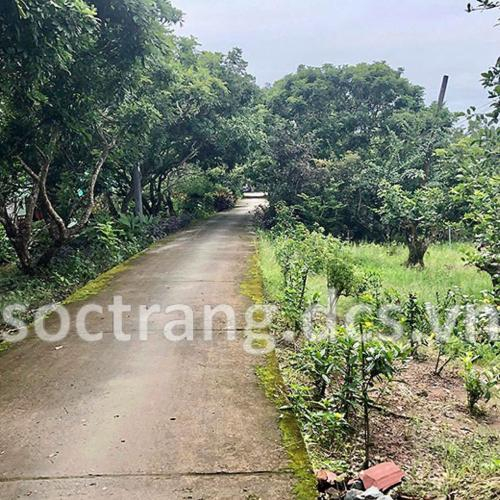 Cù Lao Dung: Đa Dạng Sản Phẩm Du Lịch Từ Ba Vùng Sinh Thái Nước Mặn, Lợ Và Ngọt